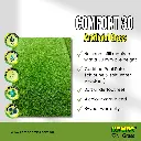 comfort 30 (2).webp