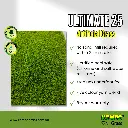 Ultimate 25 (2).webp