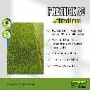 Prestige 30 (2).webp
