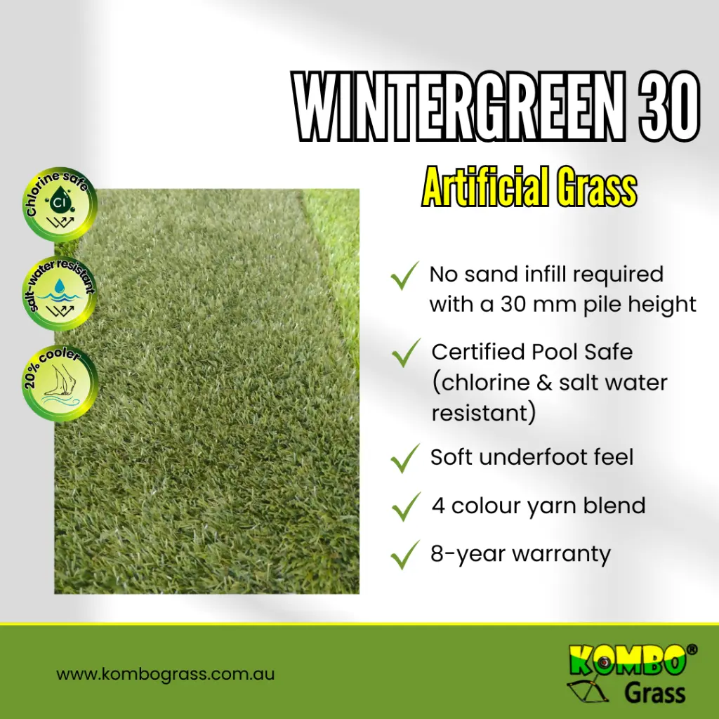 wintergreen 30 (2).webp