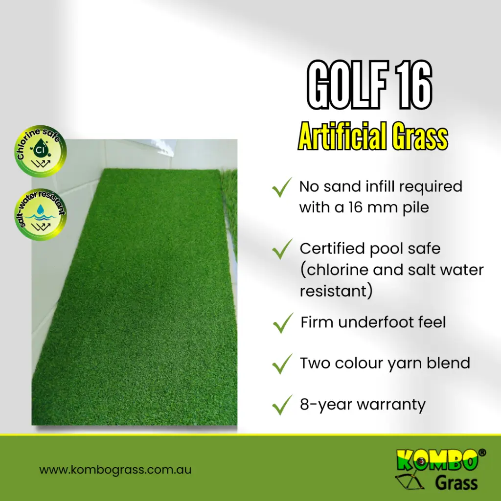 golf 16 (2).webp