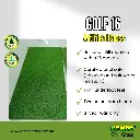 golf 16 (2).webp
