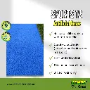 Sports 12 (2).webp