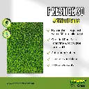 Prestige 30