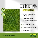 Ultimate 25