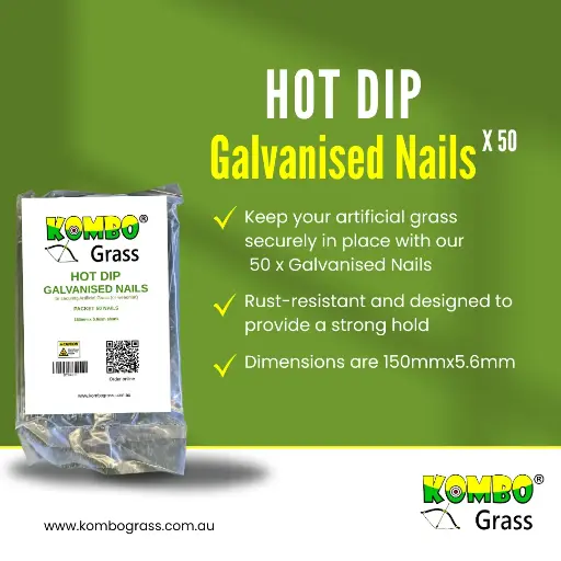 50 x Galvanised Nails